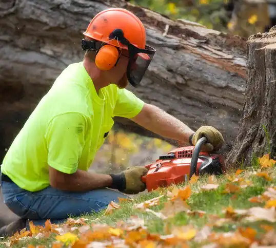 tree services Arnaudville